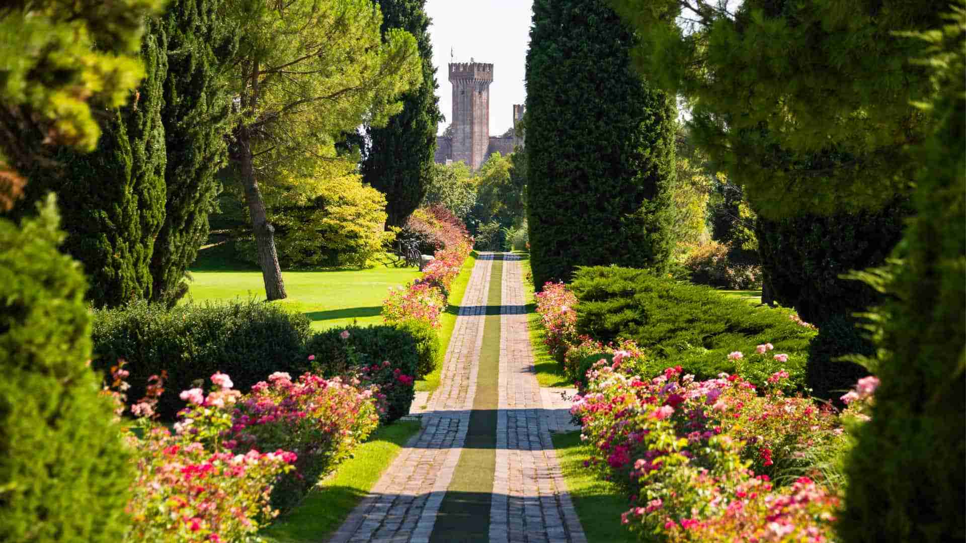 Parco Giardino Sigurtà – Rosenallee mit Blick zum Castello Rosenallee im Parco Giardino Sigurtà bei Valeggio sul Mincio, im Hintergrund der Turm des Castello Scaligero