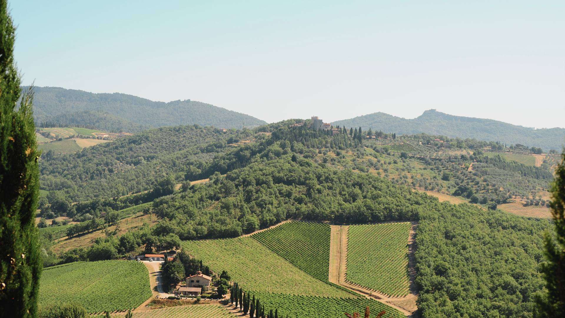 Chianti – Weinberge in der Toskana Weinberge und Olivenhaine im Chianti zwischen Florenz und Siena