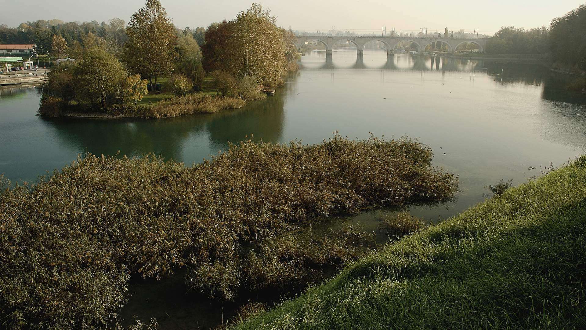 Seeufer bei Peschiera del Garda am südlichen Gardasee