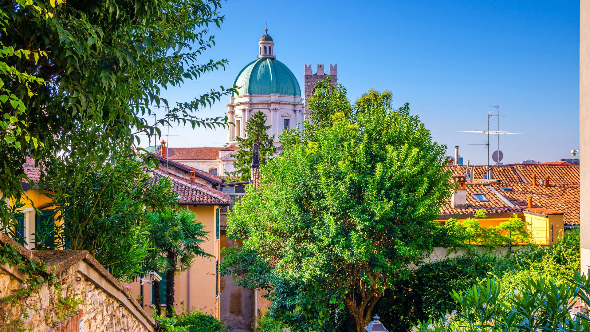 Kuppel des Duomo Nuovo über den Bäumen Die grüne Kuppel des Duomo Nuovo in Brescia über den Baumkronen