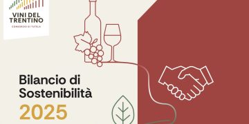 Themenbild zum Nachhaltigkeitsbericht des Consorzio Vini del Trentino 2025