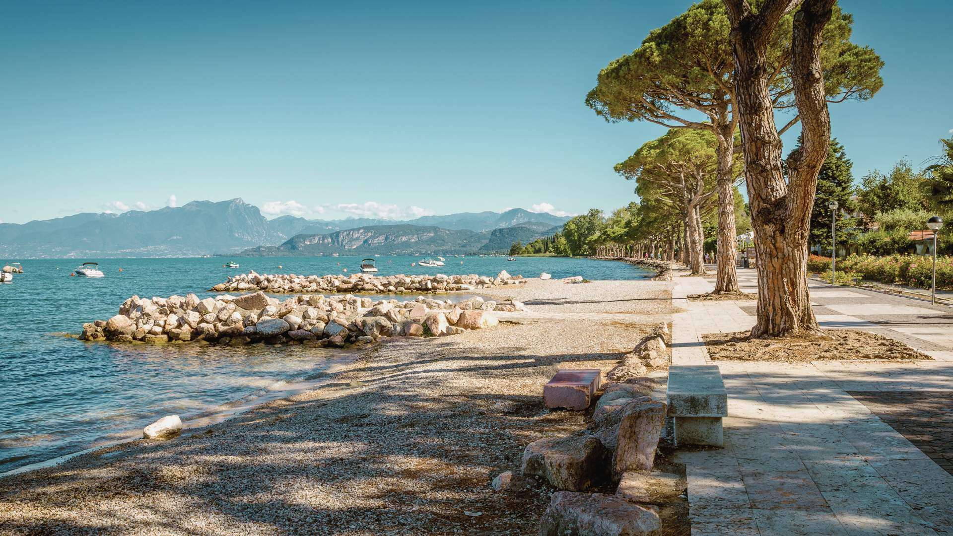Kiesufer mit Schirmpinie und Bänken am Gardasee bei Lazise