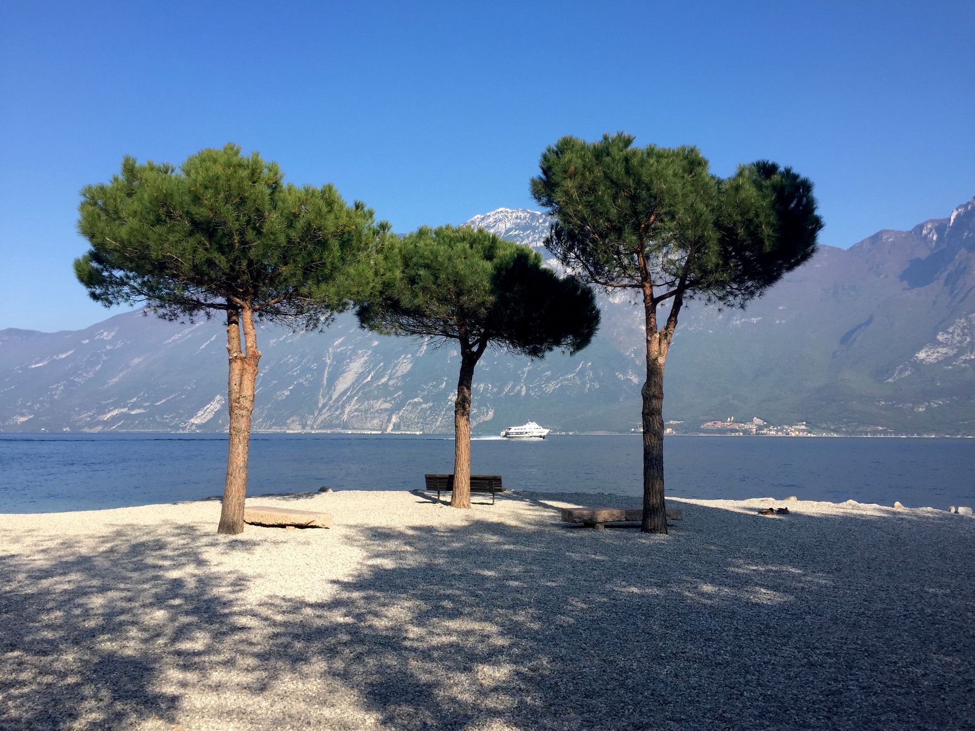 Padenghe sul Garda – Ufer mit Pinien Uferabschnitt bei Padenghe sul Garda mit Pinien am Wasser und Bergen in der Ferne