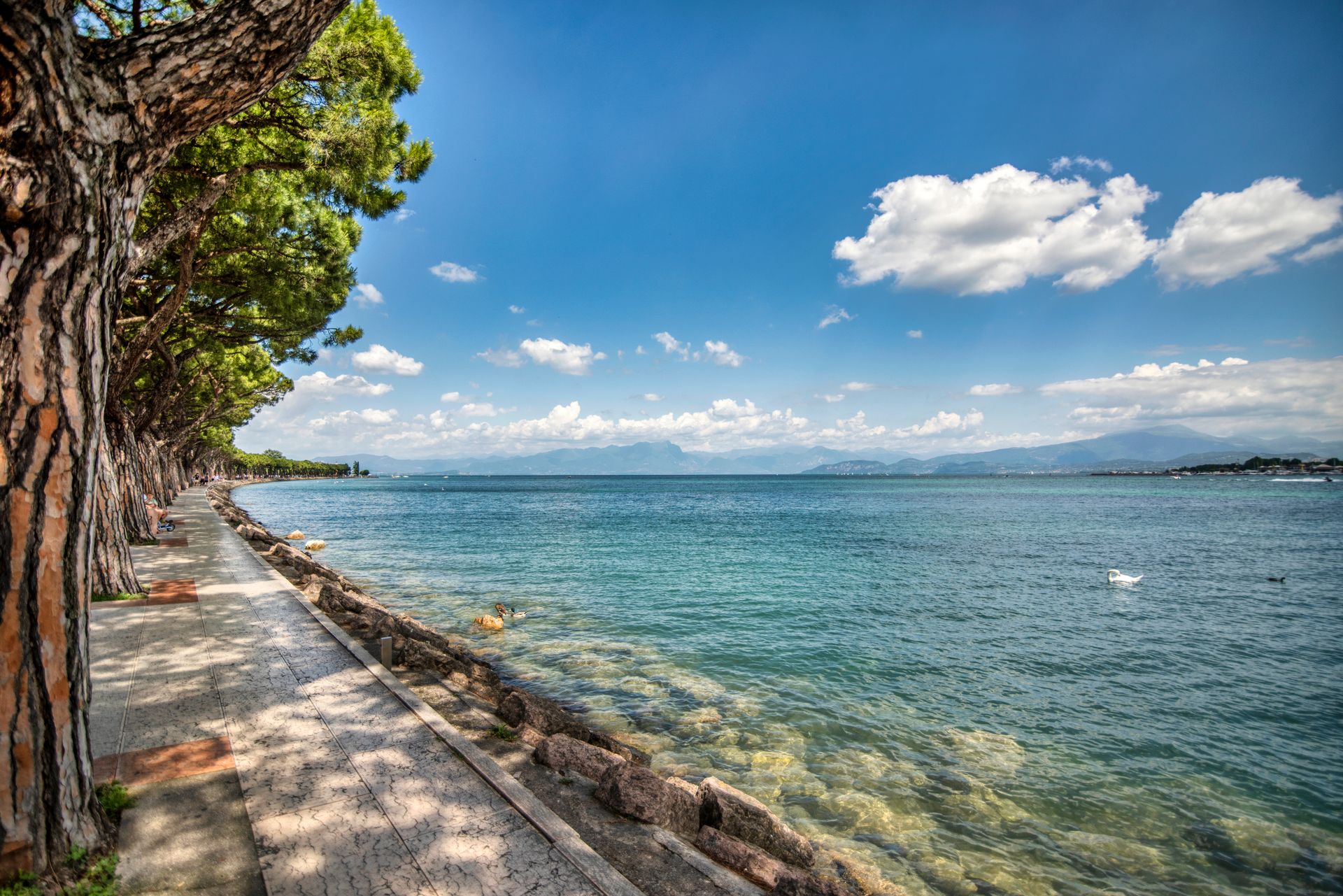 Uferweg mit Bäumen und klarem Wasser am Gardasee bei Sirmione