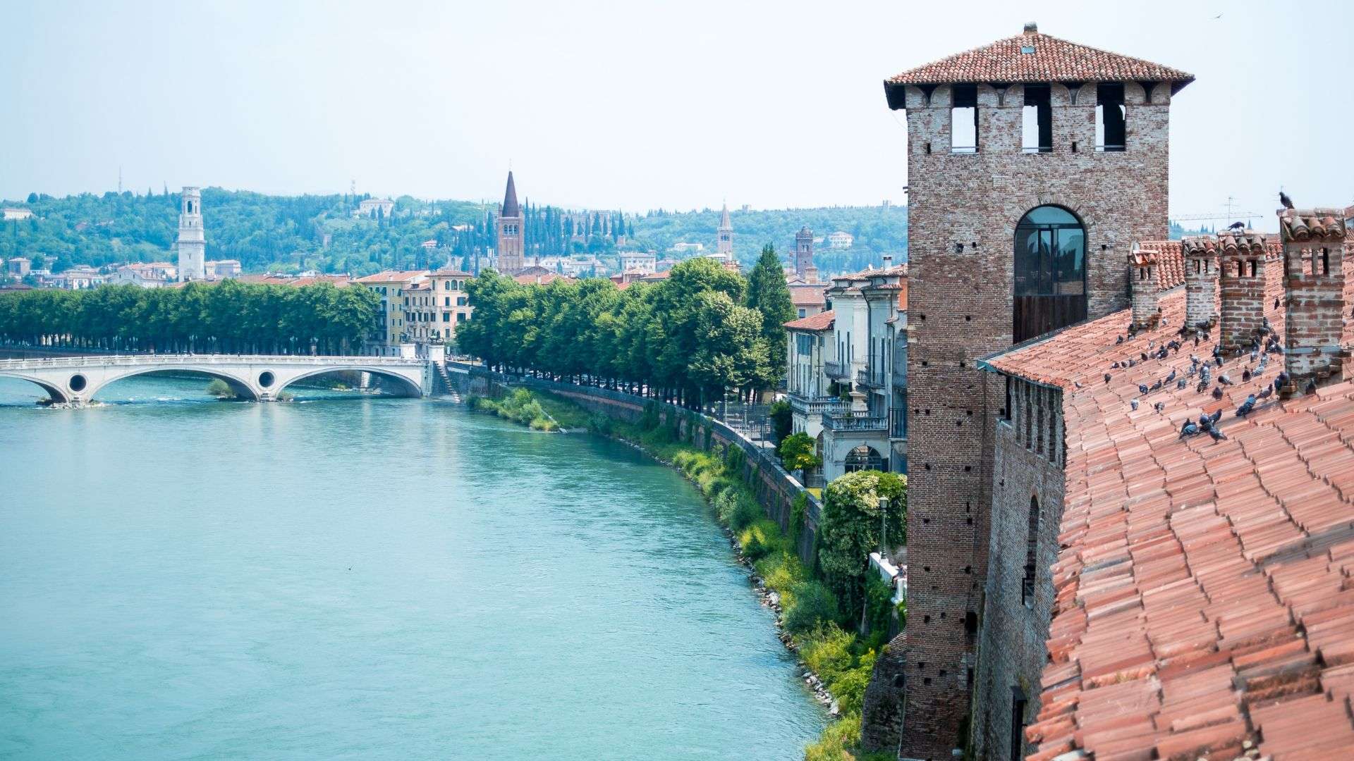 Zinnenturm des Castelvecchio über der Etsch in Verona Backsteinturm mit Schwalbenschwanzzinnen über der grünen Etsch in Verona, dahinter eine Brücke