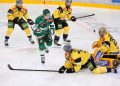 Themenbild zu HC Pustertal Auswärtsspiel in Budapest, win2day ICE Hockey League