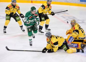 Themenbild zu HC Pustertal Auswärtsspiel in Budapest, win2day ICE Hockey League