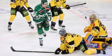 Themenbild zu HC Pustertal Auswärtsspiel in Budapest, win2day ICE Hockey League