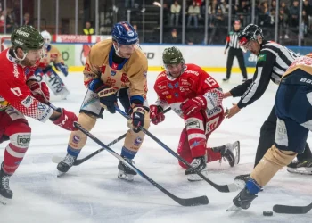 HCB Südtirol Alperia besiegt Innsbruck klar mit 6:0