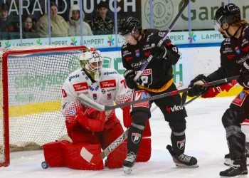 HCB Südtirol Alperia besiegt Pioneers Vorarlberg mit 6:3