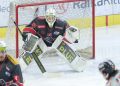 Themenbild zu den Rittner Buam SkyAlps in der Alps Hockey League