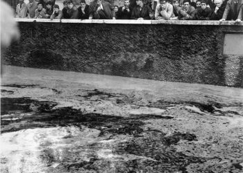 Archivbild von Hochwasser an der Etsch am 4. November 1966, zeigt überflutete Uferbereiche und Wassermassen