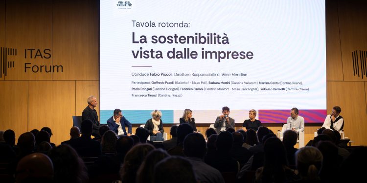 Themenbild zum Nachhaltigkeitsbericht des Consorzio Vini del Trentino