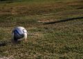 Ein einzelner Fußball liegt im Sonnenlicht auf einer grünen Rasenfläche