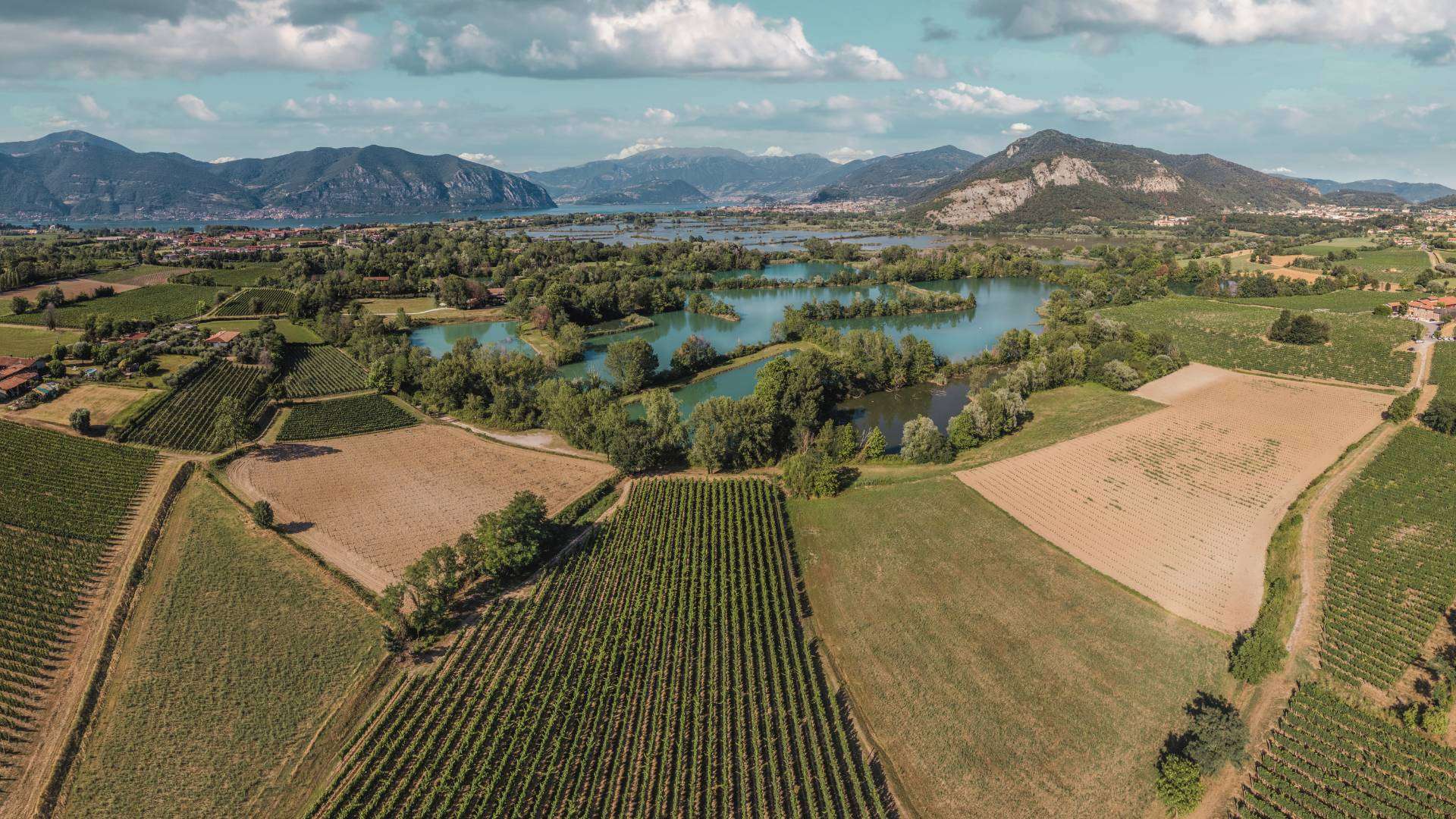 Franciacorta: Weinberge vor dem Iseosee aus der Luft Luftbild von Weinbergen und Feldern, dahinter Teiche eines Feuchtgebiets, der Iseosee und die Berge