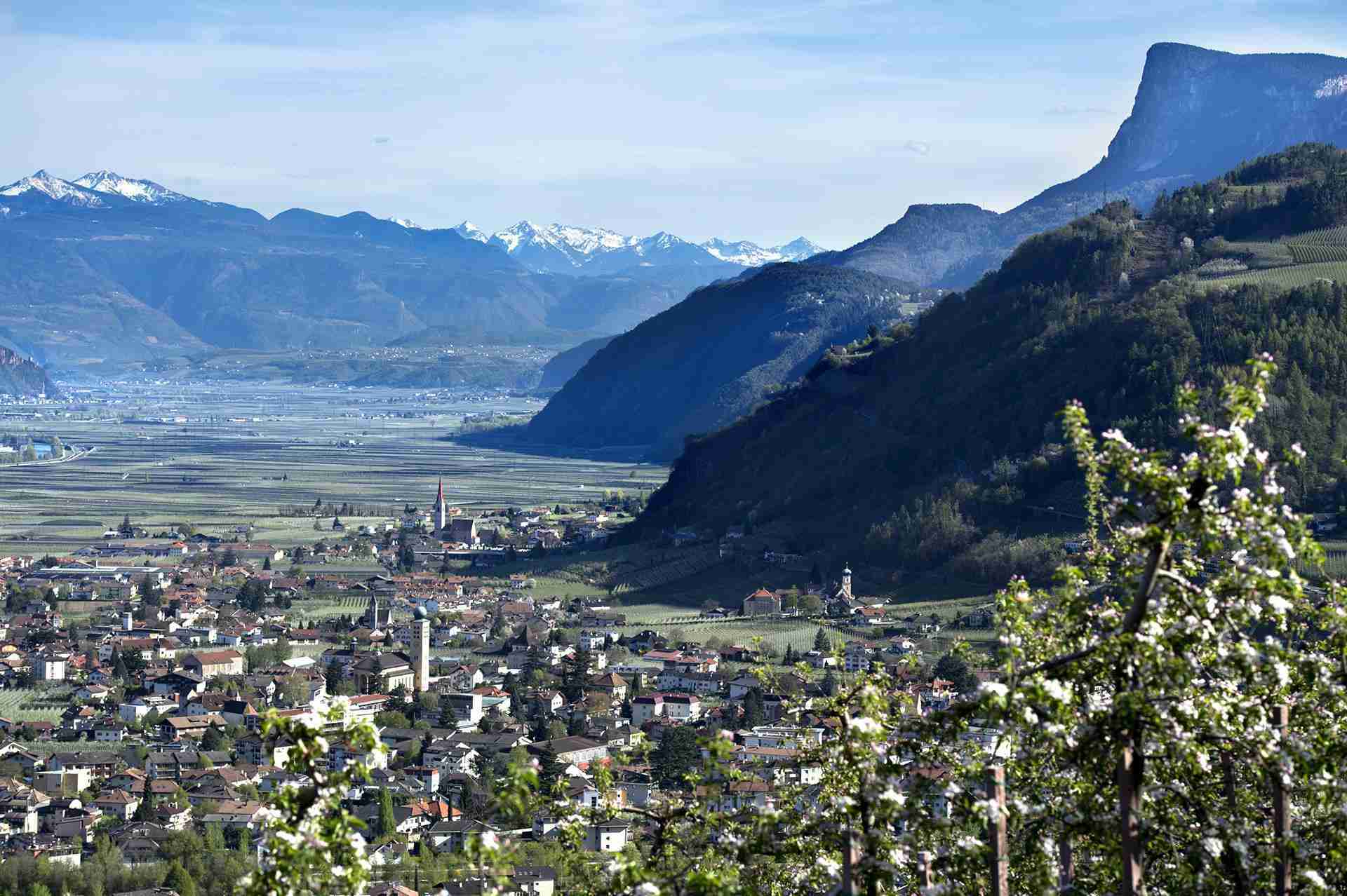 Lana im Etschtal zur Apfelblüte Blick über Lana und das Etschtal mit blühenden Obstbäumen im Vordergrund und Bergen im Hintergrund