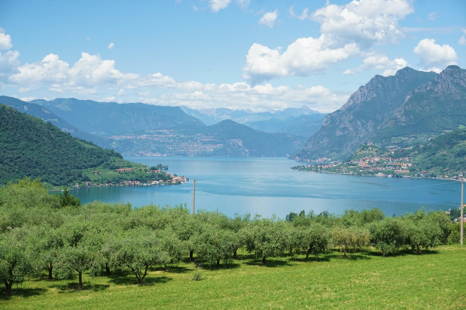 Olivenhain über dem Iseosee Olivenhain über dem Iseosee, dahinter Inseln und Berge unter Wolken