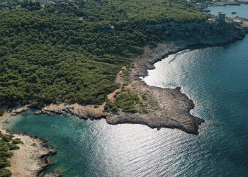 Luftbild einer Bucht mit hellem Kieselufer, dahinter dichter Pinienwald an der ionischen Küste bei Nardò