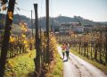 Zwei Läuferinnen auf einem schmalen Weg zwischen herbstlichen Rebzeilen in den Prosecco-Hügeln, dahinter Bauernhäuser