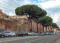 Klinikgebäude des Policlinico Umberto I in Rom hinter Pinien an der Viale Regina Margherita