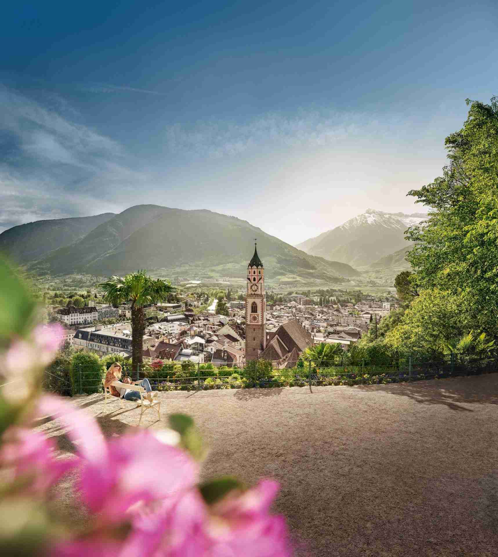 Blick vom Tappeinerweg auf die Pfarrkirche von Meran Der Turm der Pfarrkirche von Meran über den Dächern der Altstadt, im Vordergrund Blüten am Tappeinerweg