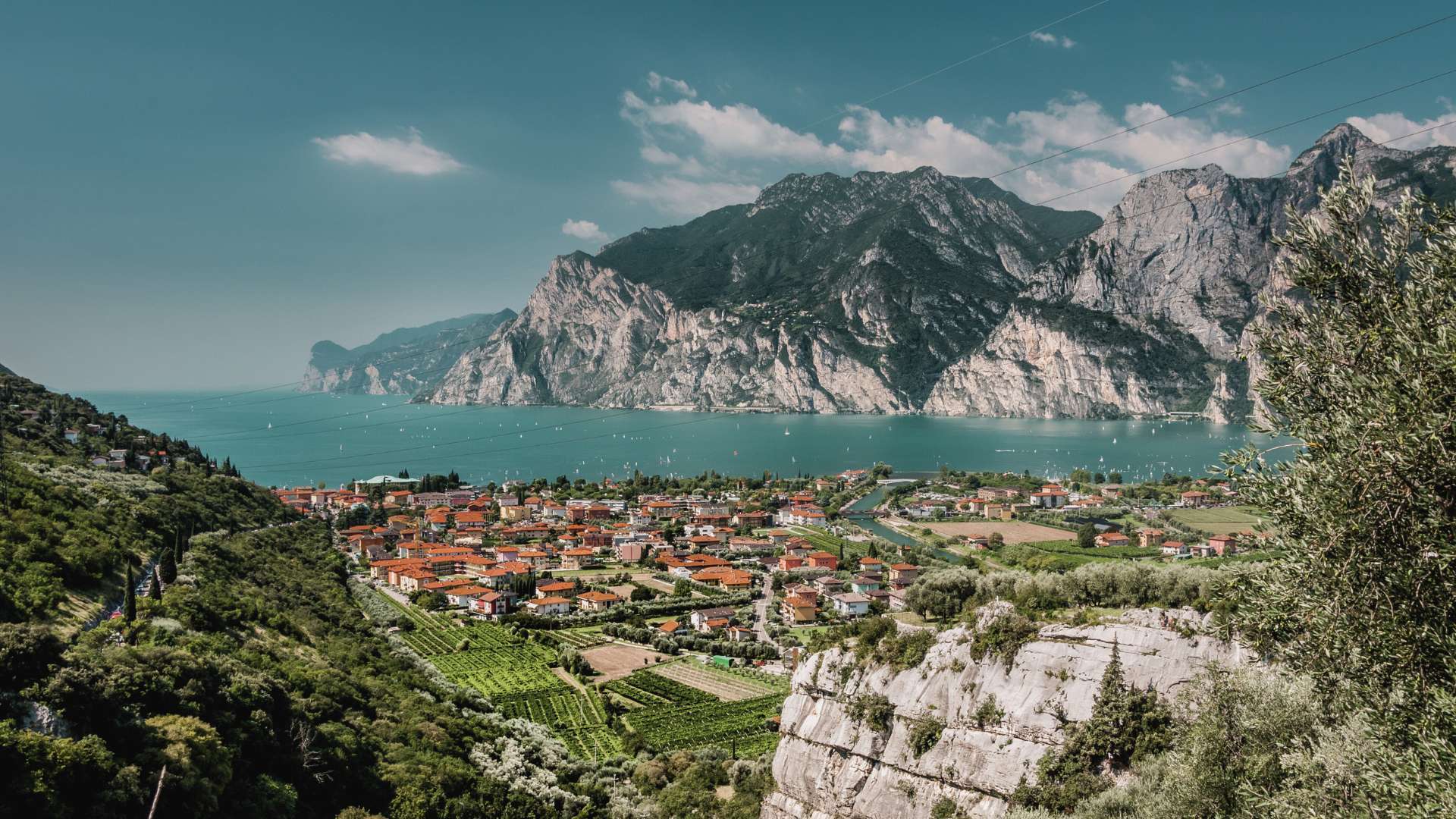 Blick von felsigen Hängen mit Olivenbäumen hinunter auf Torbole und den Gardasee vor den Bergen am Westufer