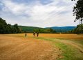 Drei Wanderer auf einem Feldweg der Via Francigena bei Siena zwischen abgeernteten Feldern und grünen Hügeln